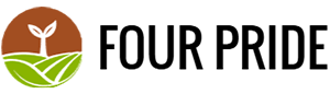 four-pride